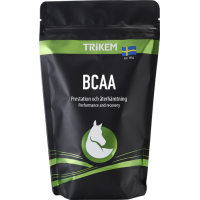 BCAA- Uzlabo atveseļošanos un aizsargā muskuļus -500g