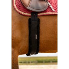 Pūkaina vēderjosta Pūkaina vēderjosta