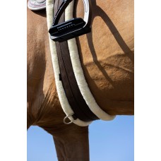 Pūkaina vēderjosta Pūkaina vēderjosta