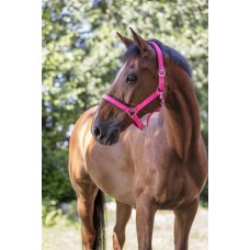 NORTON - Fluo Lined - Headcollar cob NORTON - Fluo Lined - Headcollar cob