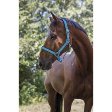 NORTON - Fluo Lined - Headcollar cob NORTON - Fluo Lined - Headcollar cob