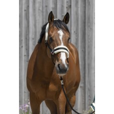 RIDING WORLD Headcollar, synthetic sheepskin Full RIDING WORLD Headcollar, synthetic sheepskin Full