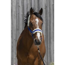 RIDING WORLD Headcollar, synthetic sheepskin Full RIDING WORLD Headcollar, synthetic sheepskin Full