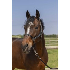 NORTON - Grooming - Headcollar Shetland NORTON - Grooming - Headcollar Shetland
