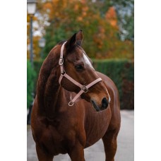 EQUITHEME - Spring - Nylon Halter full EQUITHEME - Spring - Nylon Halter full