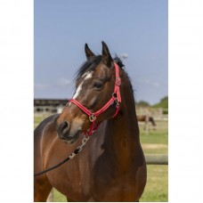 NORTON - Grooming - Headcollar full NORTON - Grooming - Headcollar full