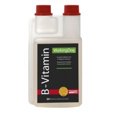 WD B-vitamīns 500ml 