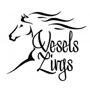 HP Banner