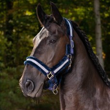 Globus – Pilé Cob Globus – Pilé Cob