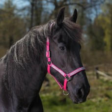 Globus Romana pony Globus Romana pony